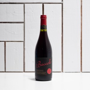 Baccolo Rosso Veneto 2019 - £8.50 - Experience Wine